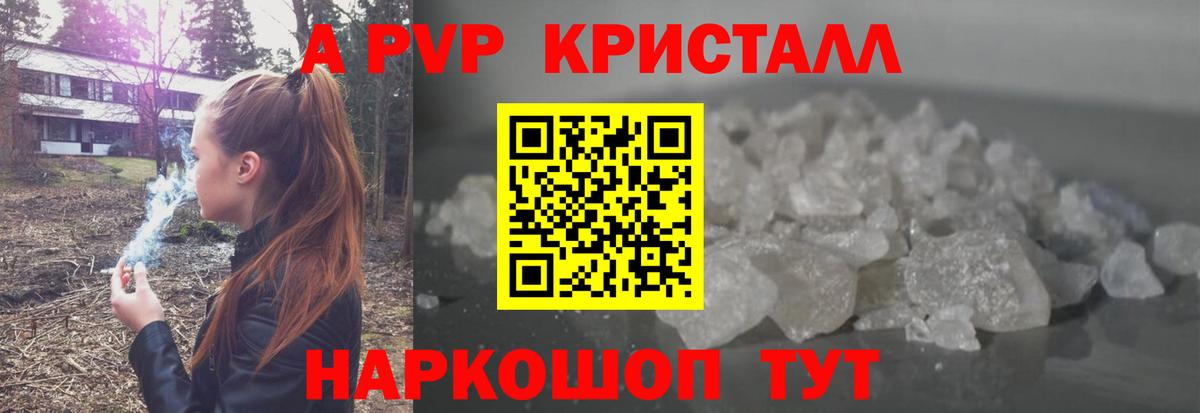 A PVP СК КРИС Новошахтинск