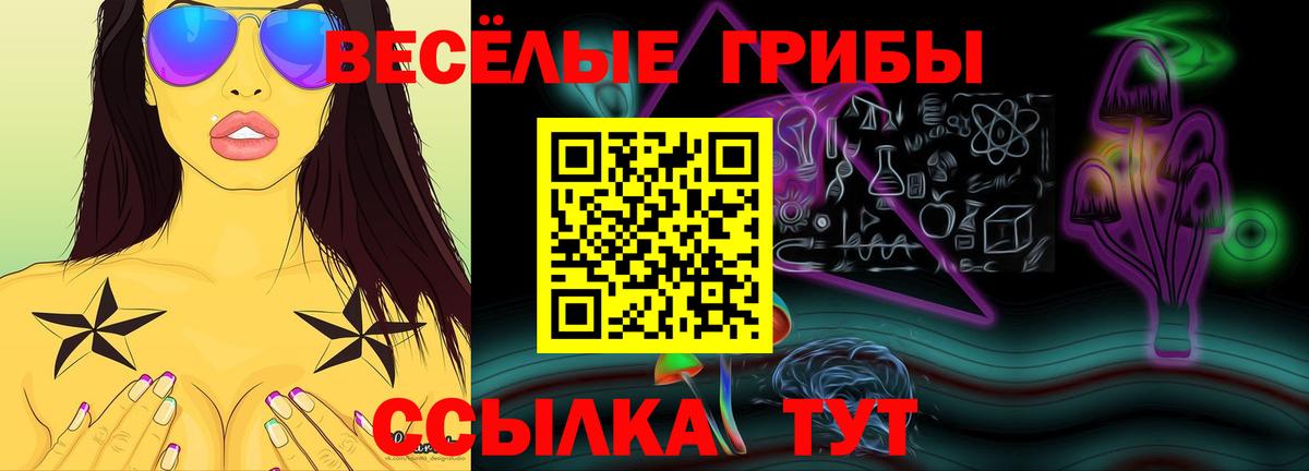 Псилоцибиновые грибы Magic Shrooms Новошахтинск